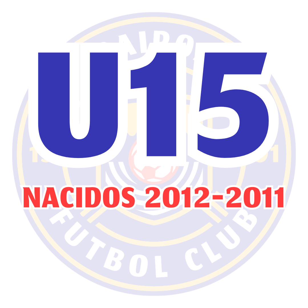 Categoría U15